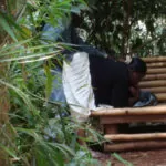 Kakamega park Bench Doggy Style Fucking Horny Milf