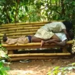 Muliro Gardens 2021 leaked Photos