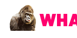 logo-header-1