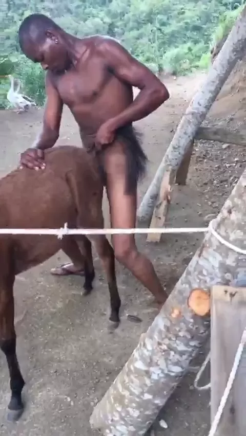 Viilege Animal Sex Video - African Bestiality Porn Video Leaked Online | Kenya Adult Blog