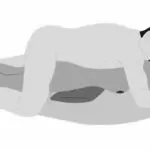 Cushion Sex position