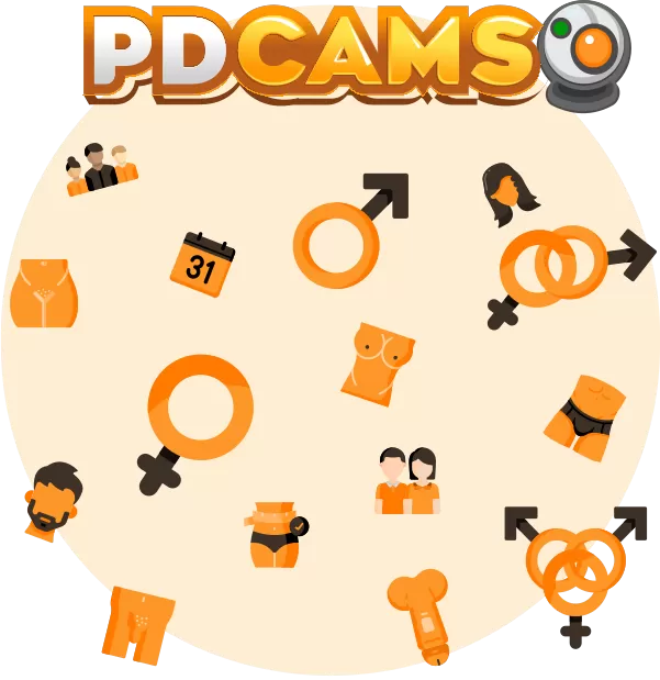 PD Cams Banner